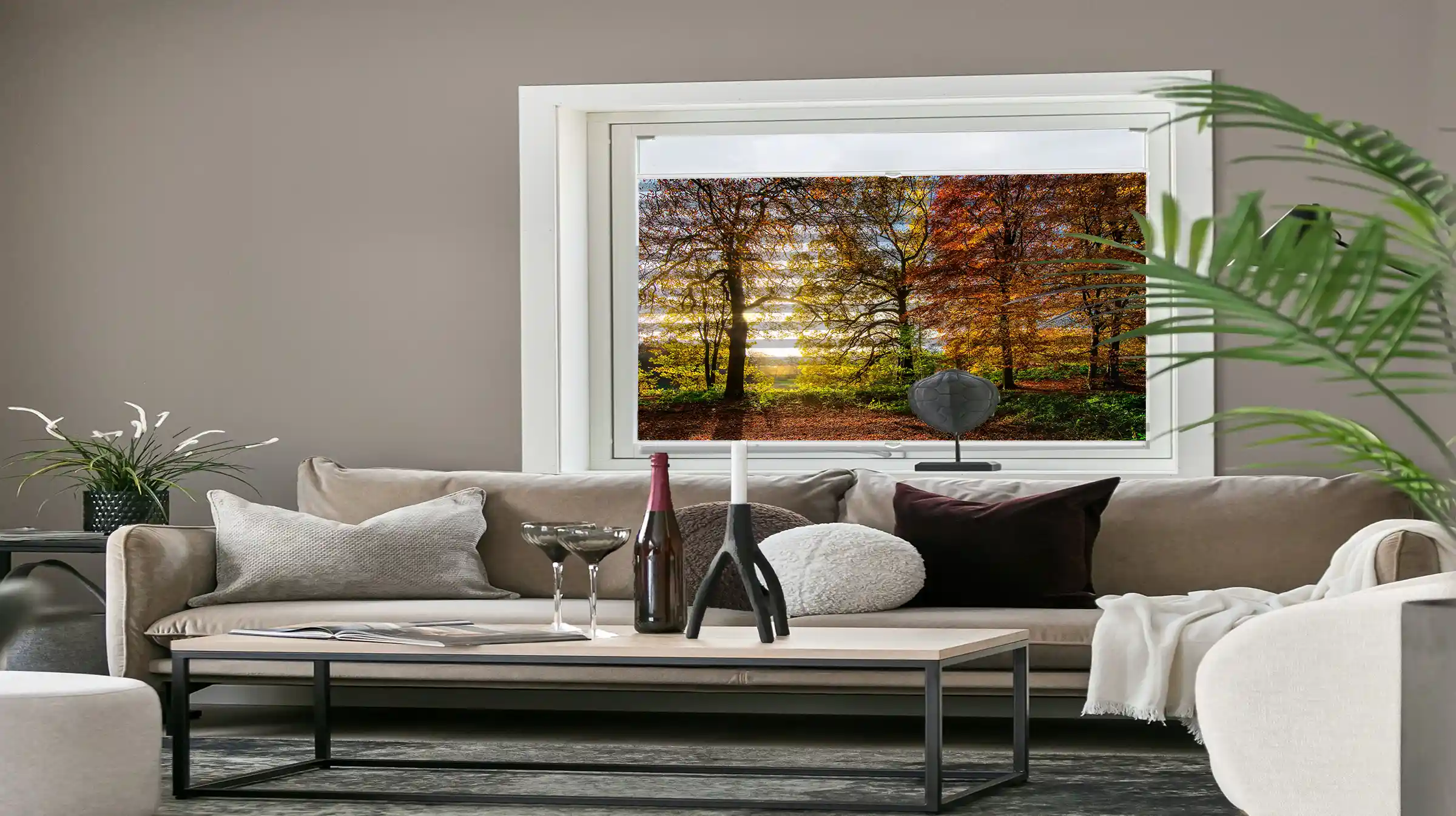 Foto Plissee bedruckt mit Waldmotiv