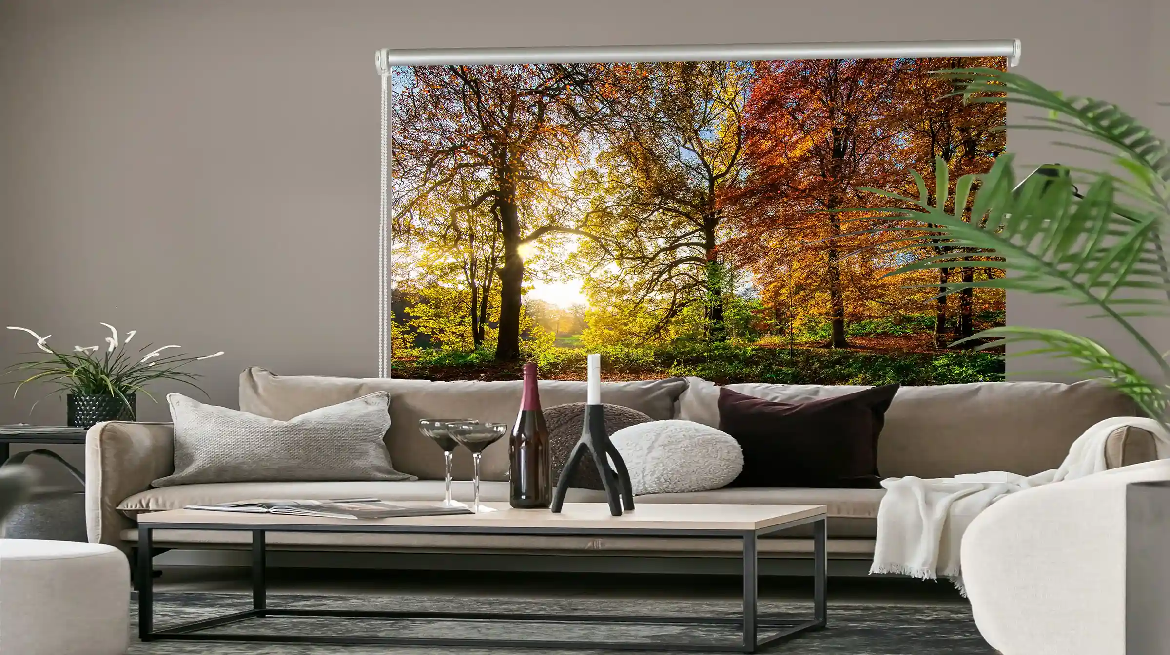 Foto Rollo bedruckt bzw. Fotorollo mit Wald Motiv Fotodruck