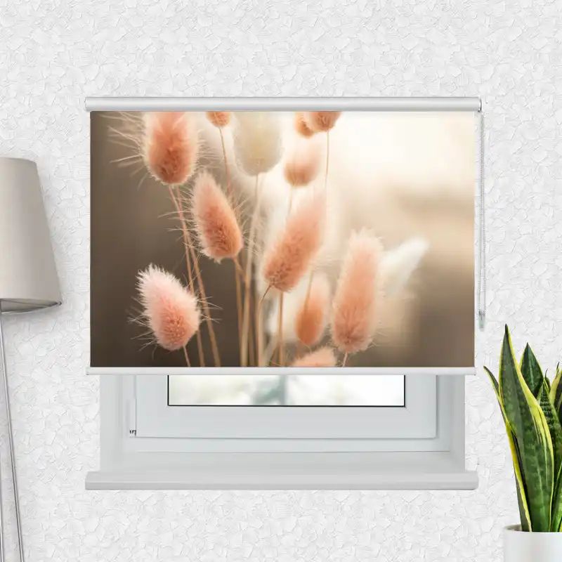 Fotorollo Premium "Flauschiges Hasenschwanzgras"