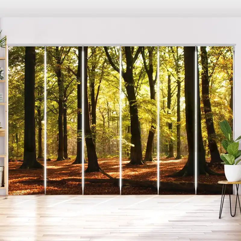 Schiebegardine "Wald Sonnenstrahlen"