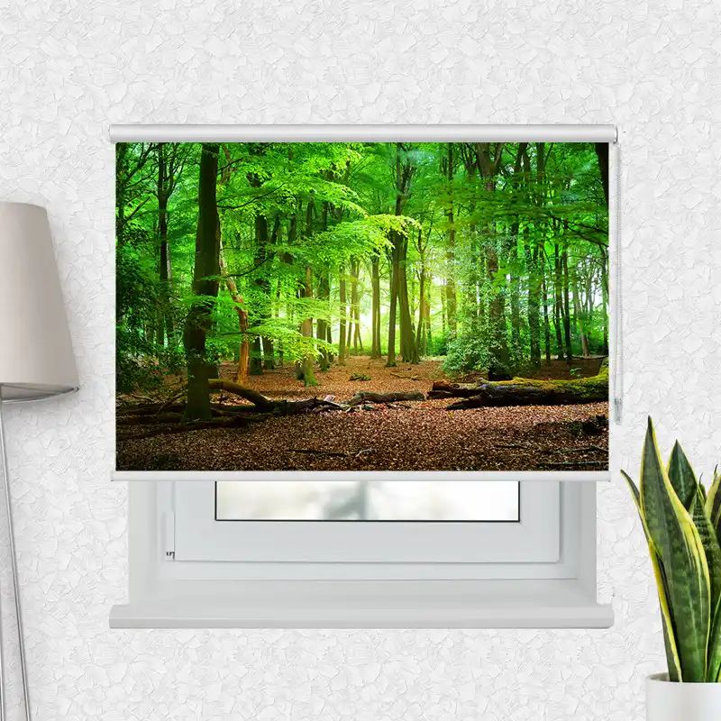 Fotorollo Premium "Wald Laub"