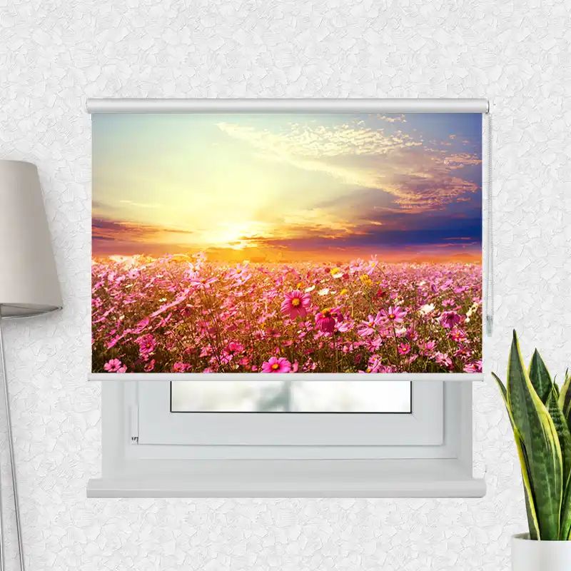 Fotorollo Premium "Kösmeen Wiese Blüten"