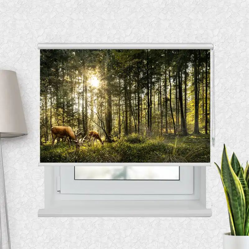 Fotorollo Premium "Hirsch Reh Wald"