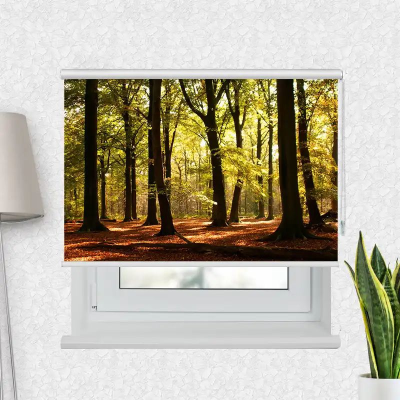 Fotorollo Premium "Wald Sonnenstrahlen"