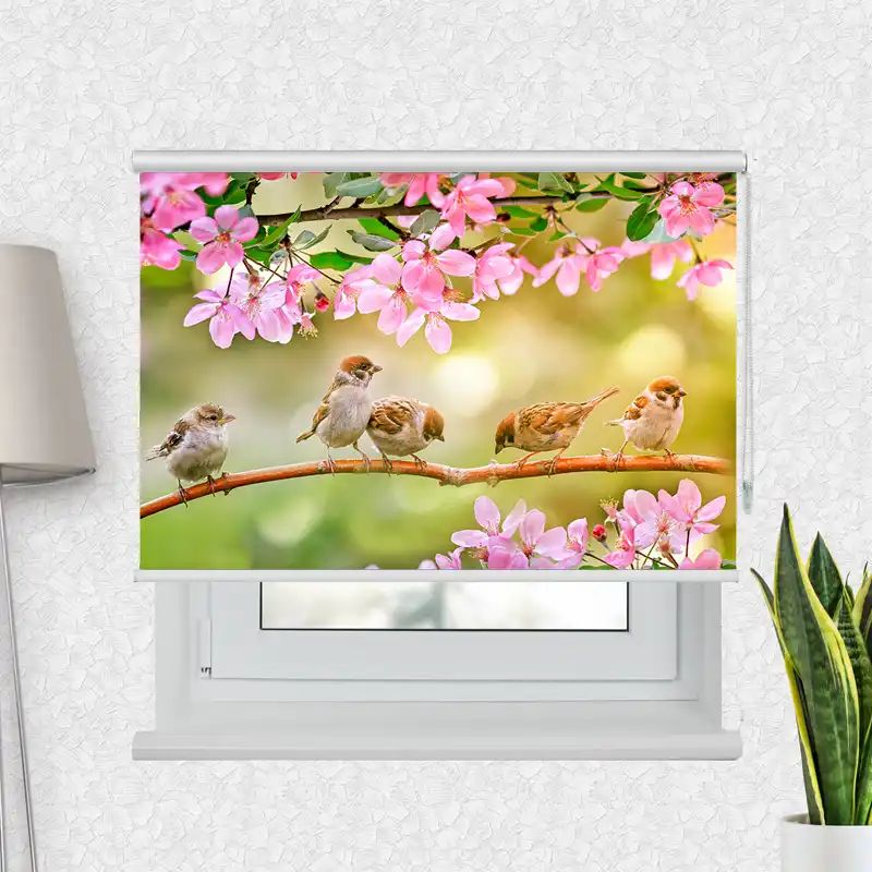Fotorollo Premium "Spatz Ast Rosa Blüten"