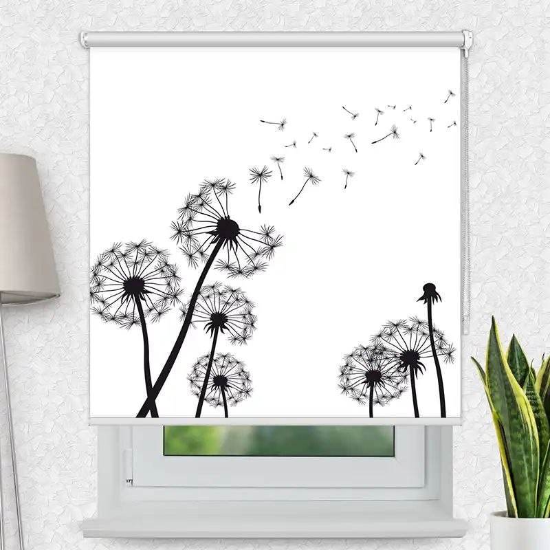 Fotorollo Premium "Pusteblumen Grafik"