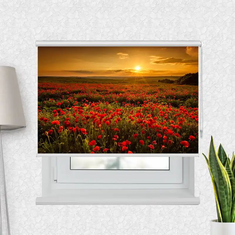 Fotorollo Premium "Mohnblumen Feld"