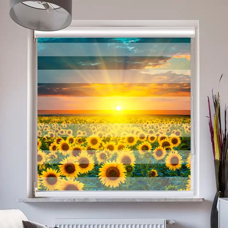 Foto Doppelrollo mit Kassette "Sonnenblumenfeld Im Sonnenuntergang"