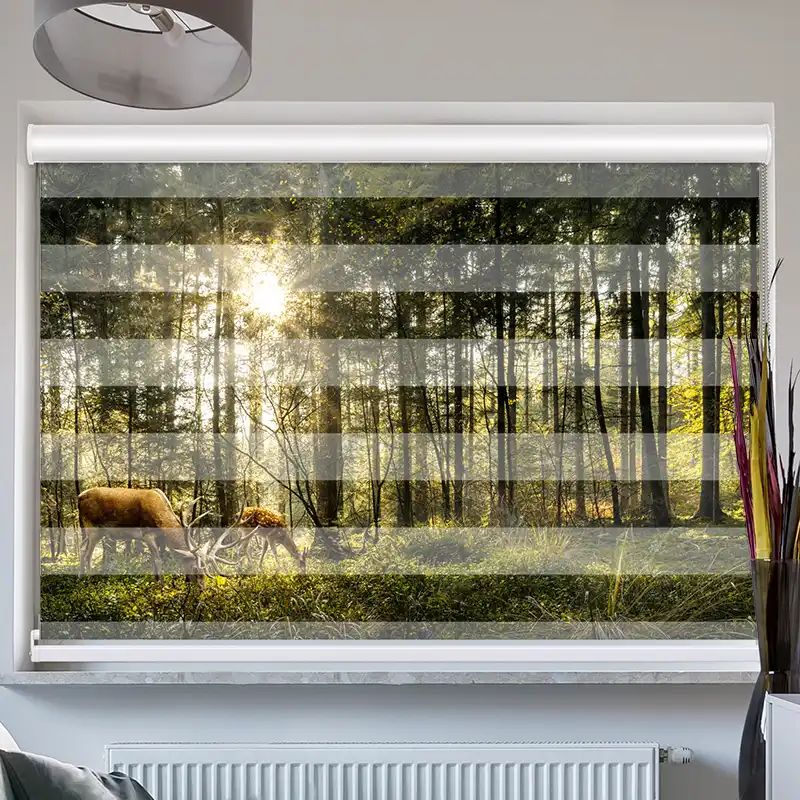 Foto Doppelrollo mit Kassette "Hirsch Reh Wald"