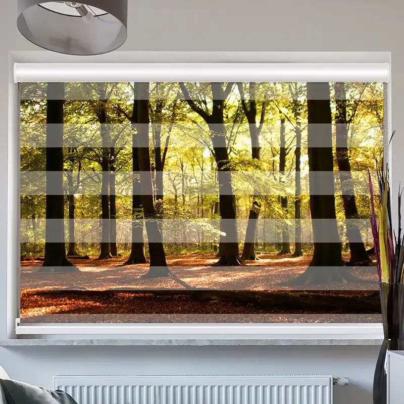 Foto Doppelrollo mit Kassette "Wald Sonnenstrahlen"
