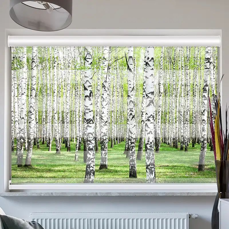 Foto Doppelrollo mit Kassette "Birkenwald"