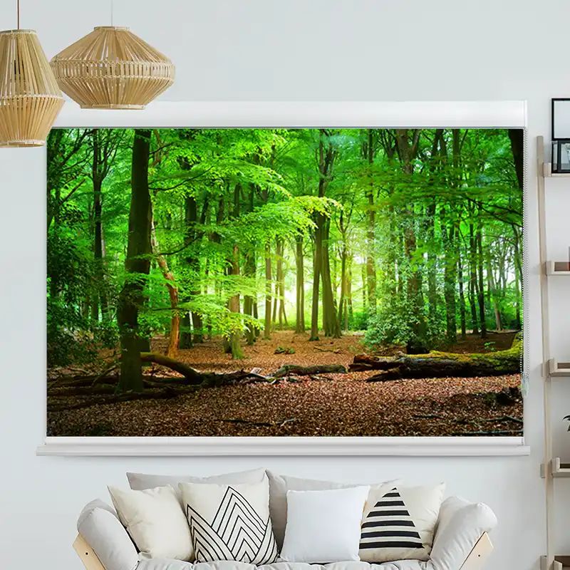 Foto Rollo mit Kassette "Wald Laub"