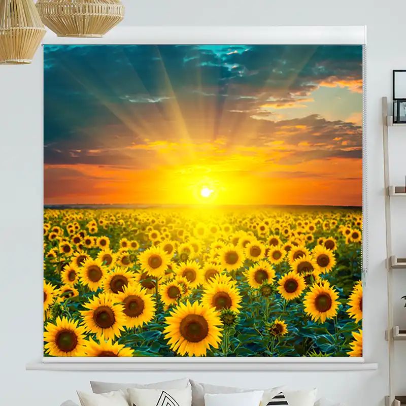 Foto Rollo mit Kassette "Sonnenblumenfeld Im Sonnenuntergang"