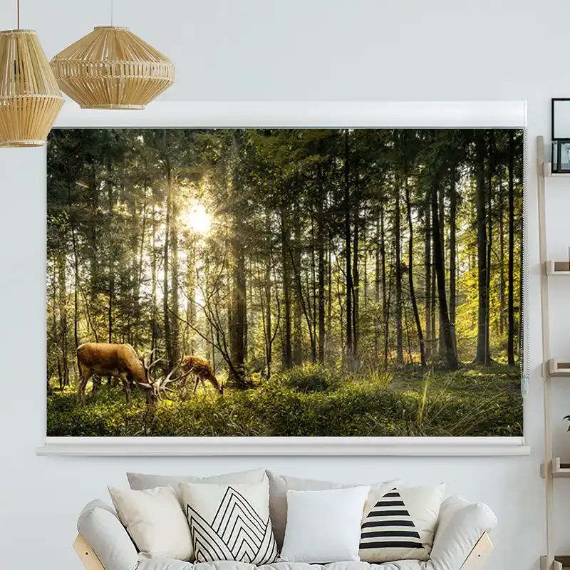 Foto Rollo mit Kassette "Hirsch Reh Wald"
