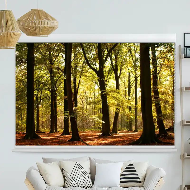 Foto Rollo mit Kassette "Wald Sonnenstrahlen"