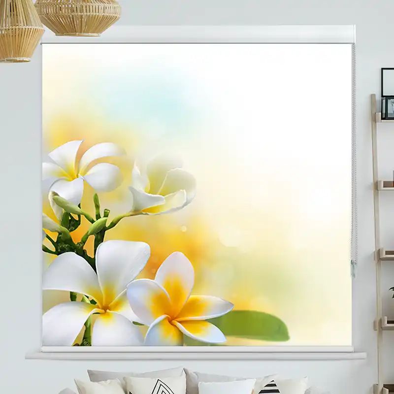 Foto Rollo mit Kassette "Frangipani"