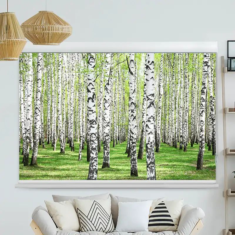 Foto Rollo mit Kassette "Birkenwald"