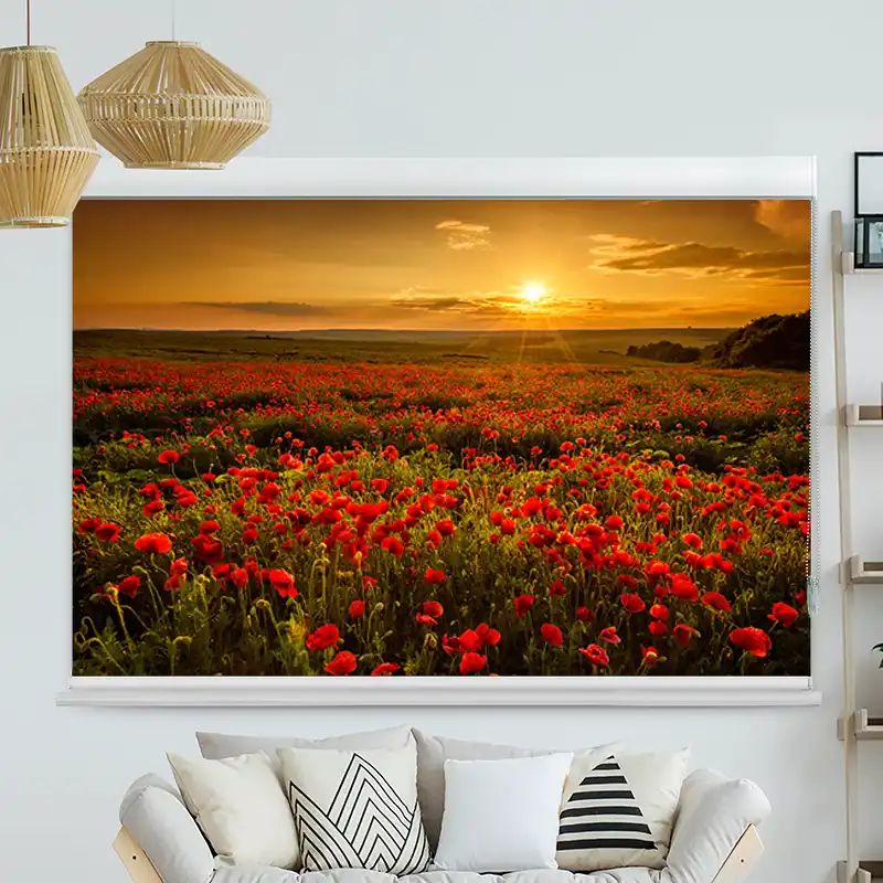 Foto Rollo mit Kassette "Mohnblumen Feld"