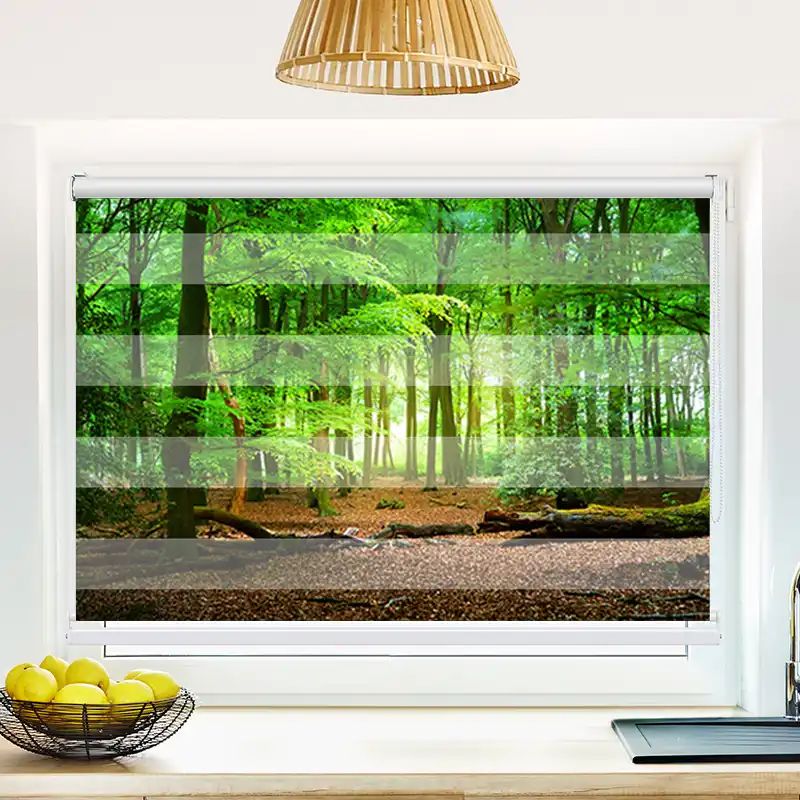 104709683 Wald Laub