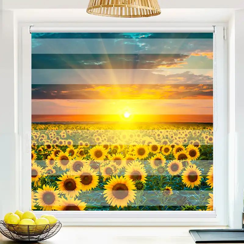 168871398 Sonnenblumenfeld Im Sonnenuntergang
