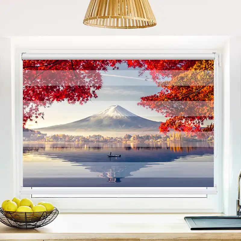 256100731 Fujiyama Japan