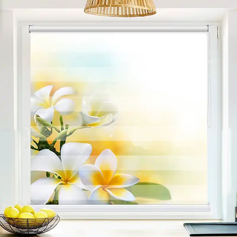 50417267 Frangipani