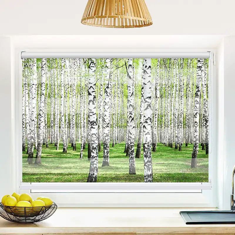 52231587 Birkenwald