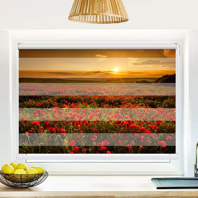 67034029 Mohnblumen Feld
