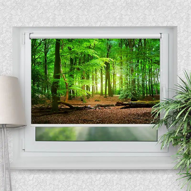 Klemmrollo "Wald Laub"