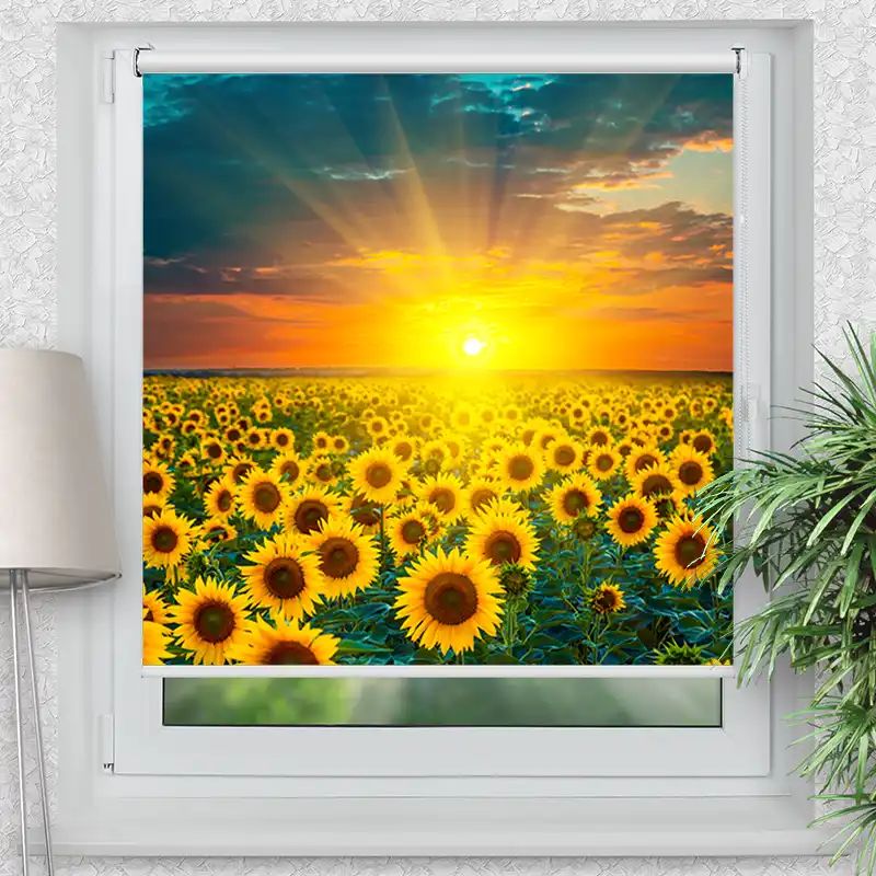 Klemmrollo "Sonnenblumenfeld Im Sonnenuntergang"