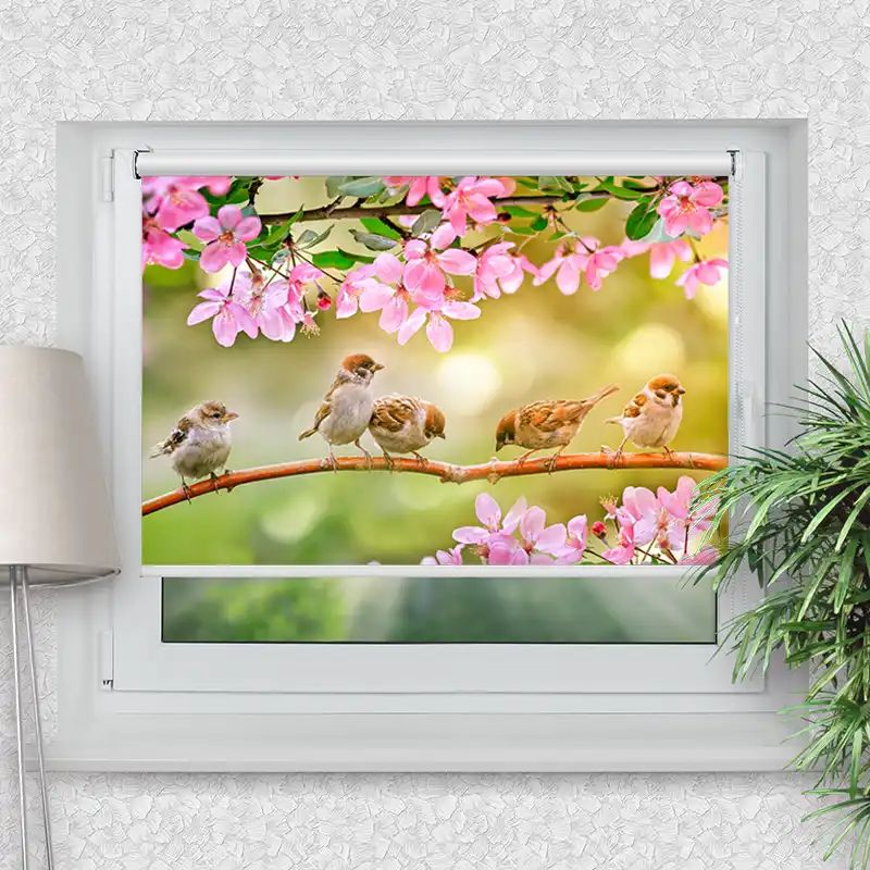 Klemmrollo "Spatz Ast Rosa Blüten"