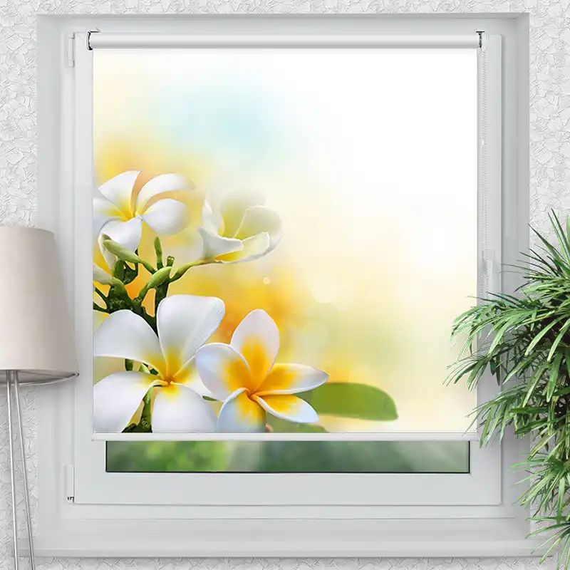 Klemmrollo "Frangipani"