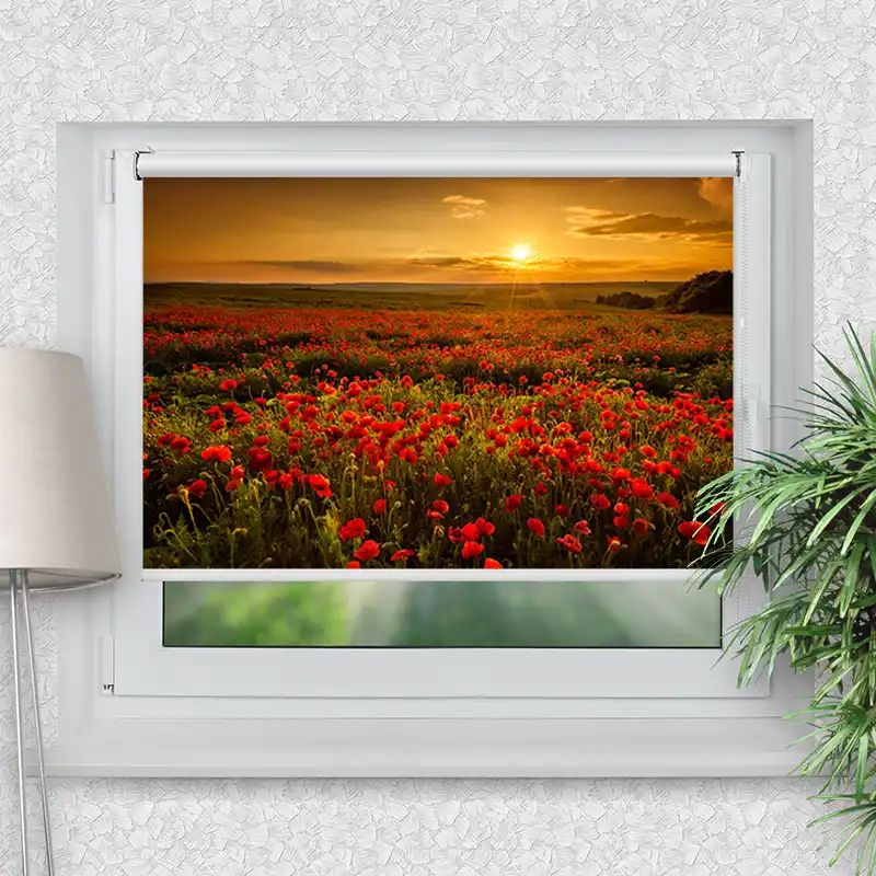 Klemmrollo "Mohnblumen Feld"