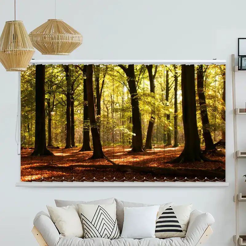 Foto Lamellenvorhang "Wald Sonnenstrahlen"