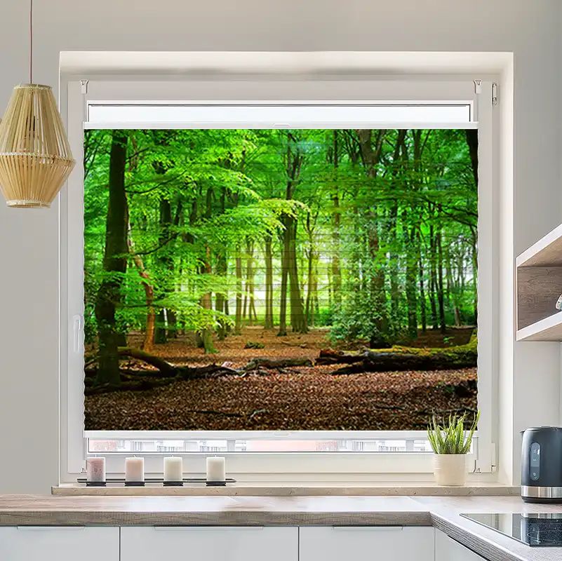 Foto Plissee "Wald Laub"