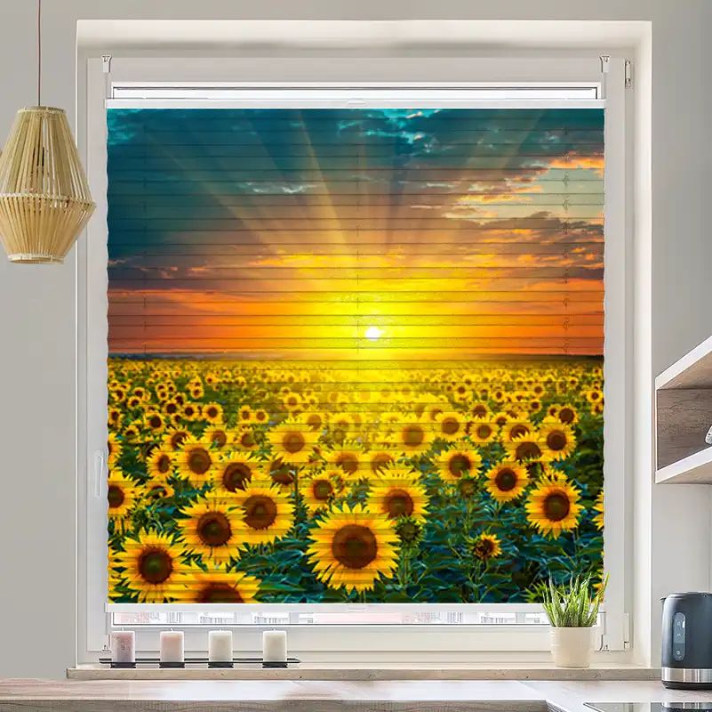 Foto Plissee "Sonnenblumenfeld Im Sonnenuntergang"