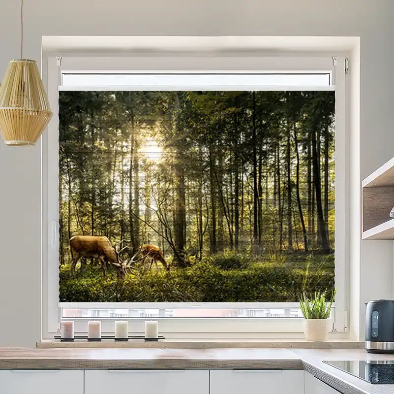 Foto Plissee "Hirsch Reh Wald"