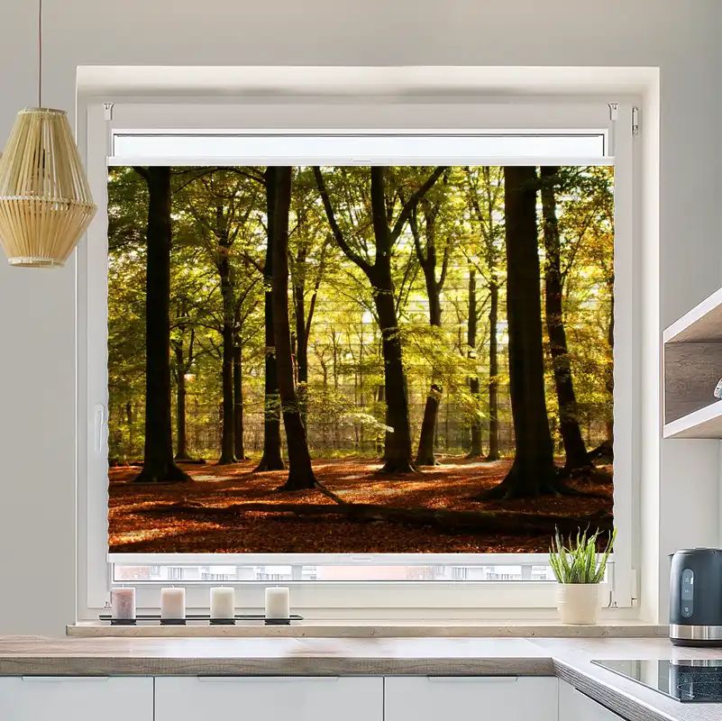 Foto Plissee "Wald Sonnenstrahlen"