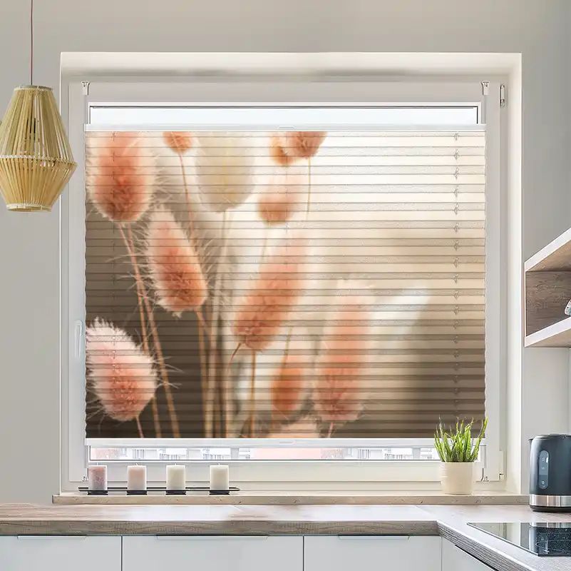 Foto Plissee "Flauschiges Hasenschwanzgras"