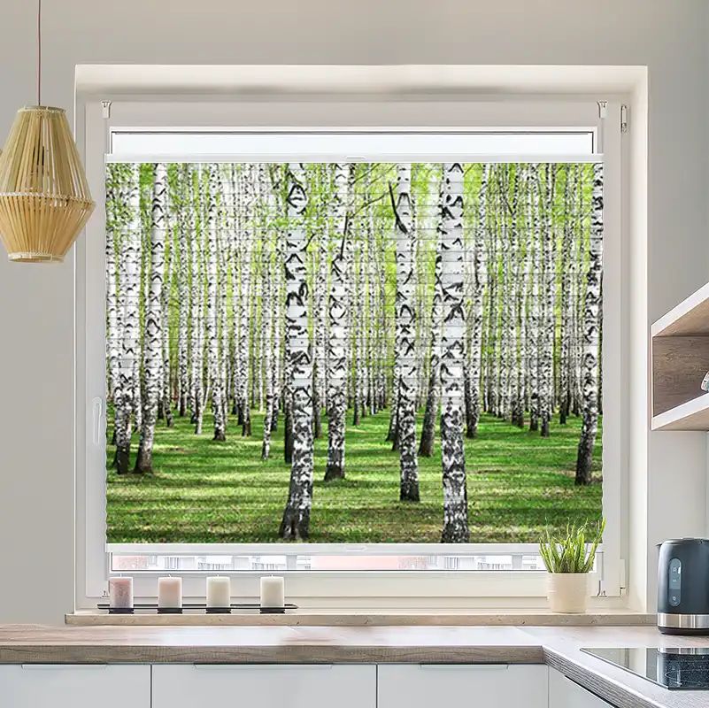 Foto Plissee "Birkenwald"