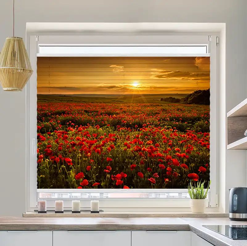 Foto Plissee "Mohnblumen Feld"