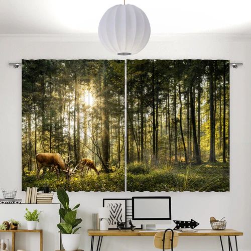Fotovorhang "Hirsch Reh Wald"
