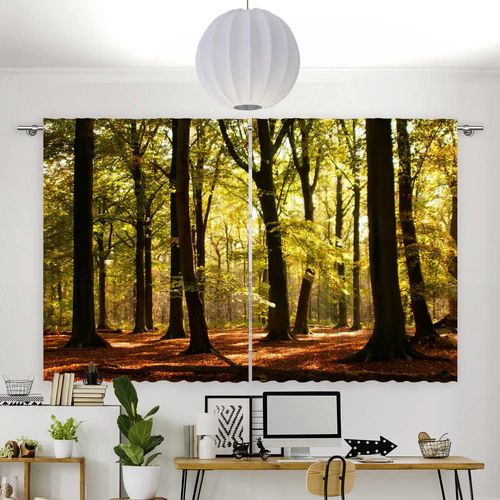 Fotovorhang "Wald Sonnenstrahlen"