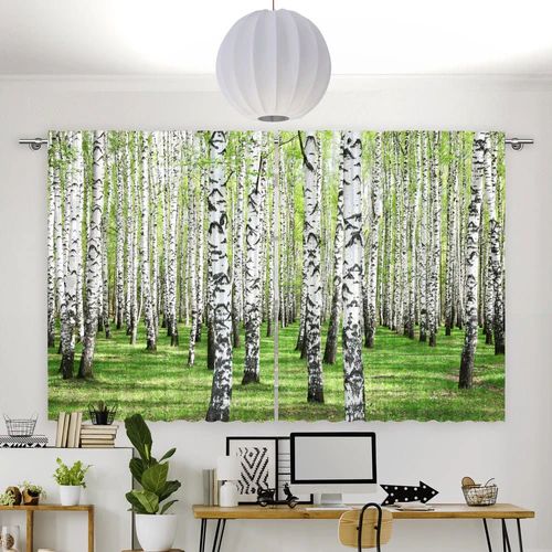 Fotovorhang "Birkenwald"