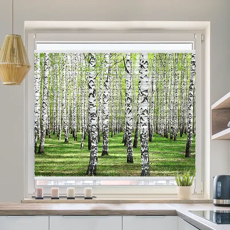 Foto Wabenplissee "Birkenwald"